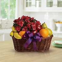 For The Home Image